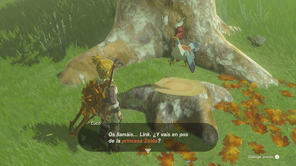 Complete "Just As the Seer Cuckoo Said" in Zelda Tears of the Kingdom Weebview