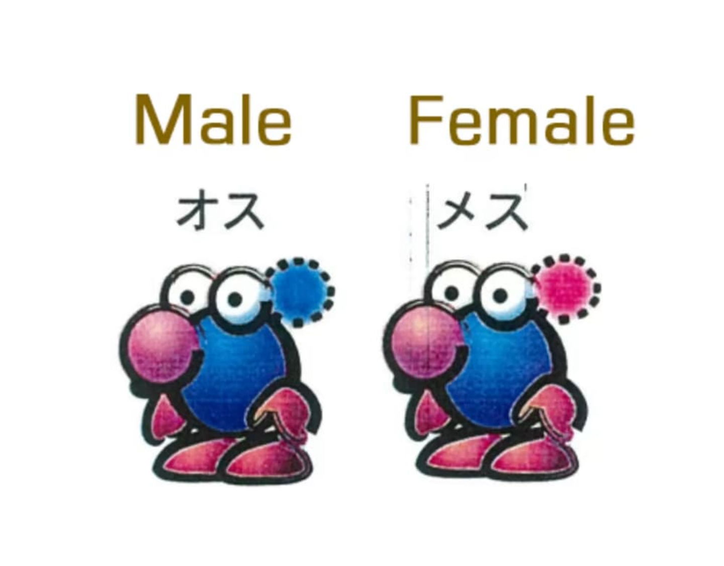 Diseño original Pikmin