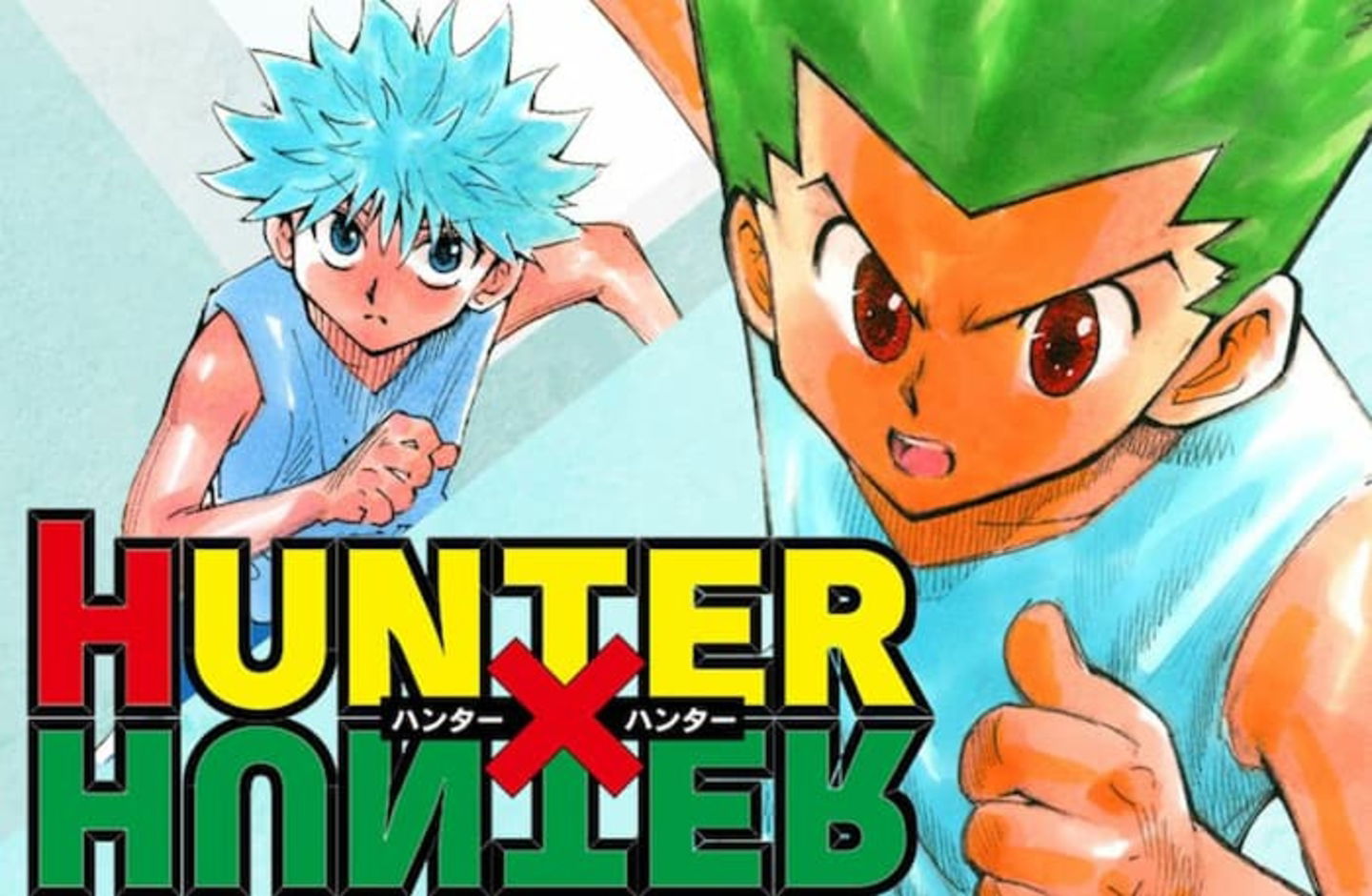 Hunter X Hunter