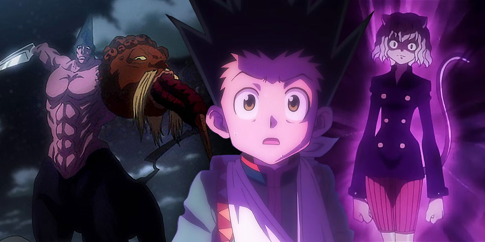 ORDEN PARA VER HUNTER X HUNTER 