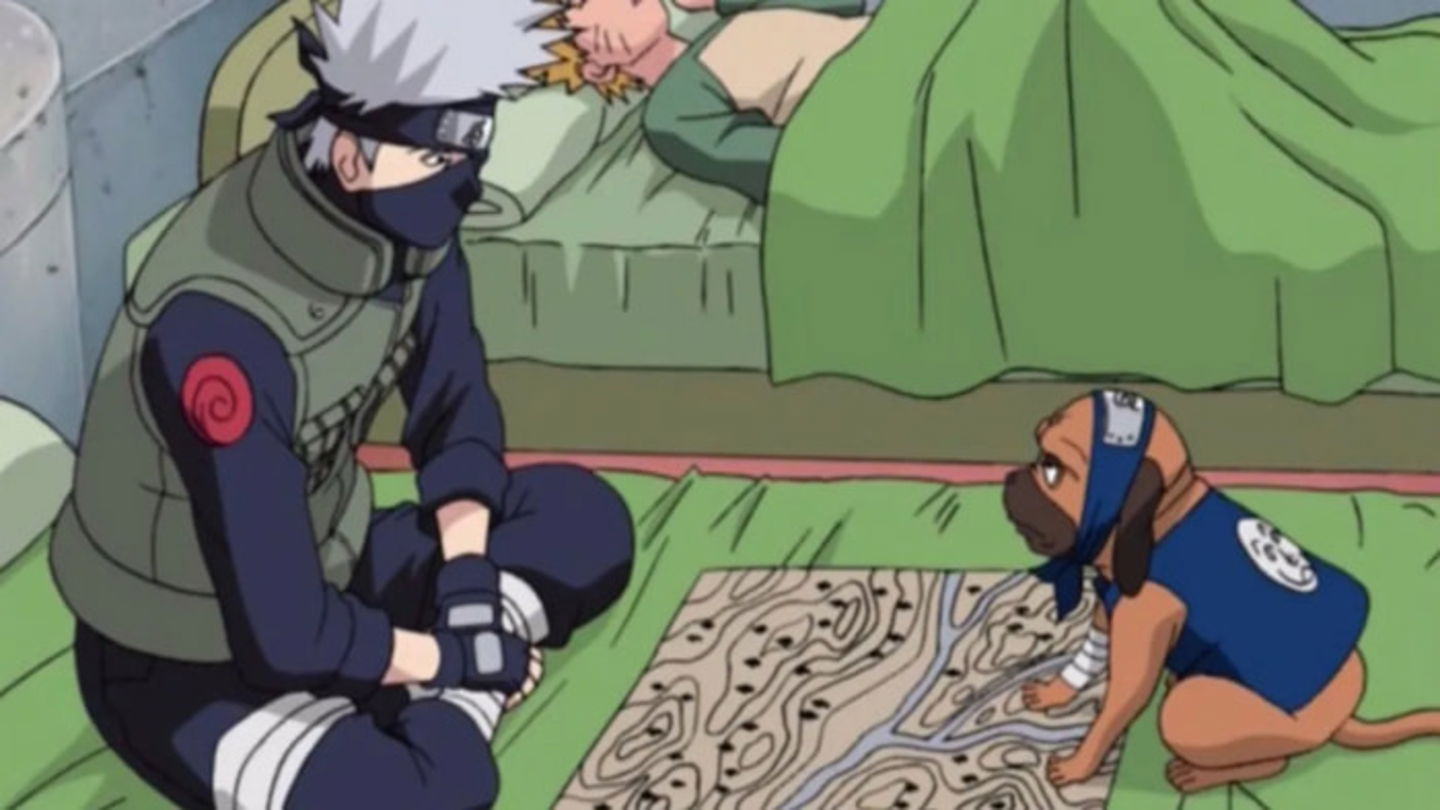 Pakkun es uno de los perros más diligentes del anime, pues es un animal ninja, leal a Kakashi y que puede hablar