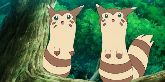 Crean la forma regional del Pokémon Furret con un resultado increíble