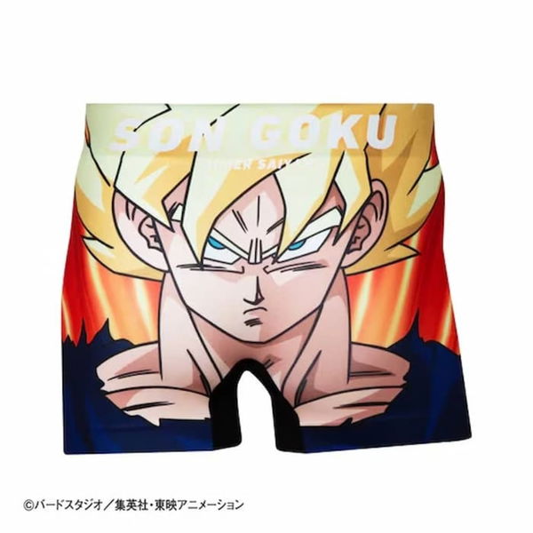 Trunks Briefs (Dragon Ball)  Personajes de dragon ball, Dragones, Dragon  ball