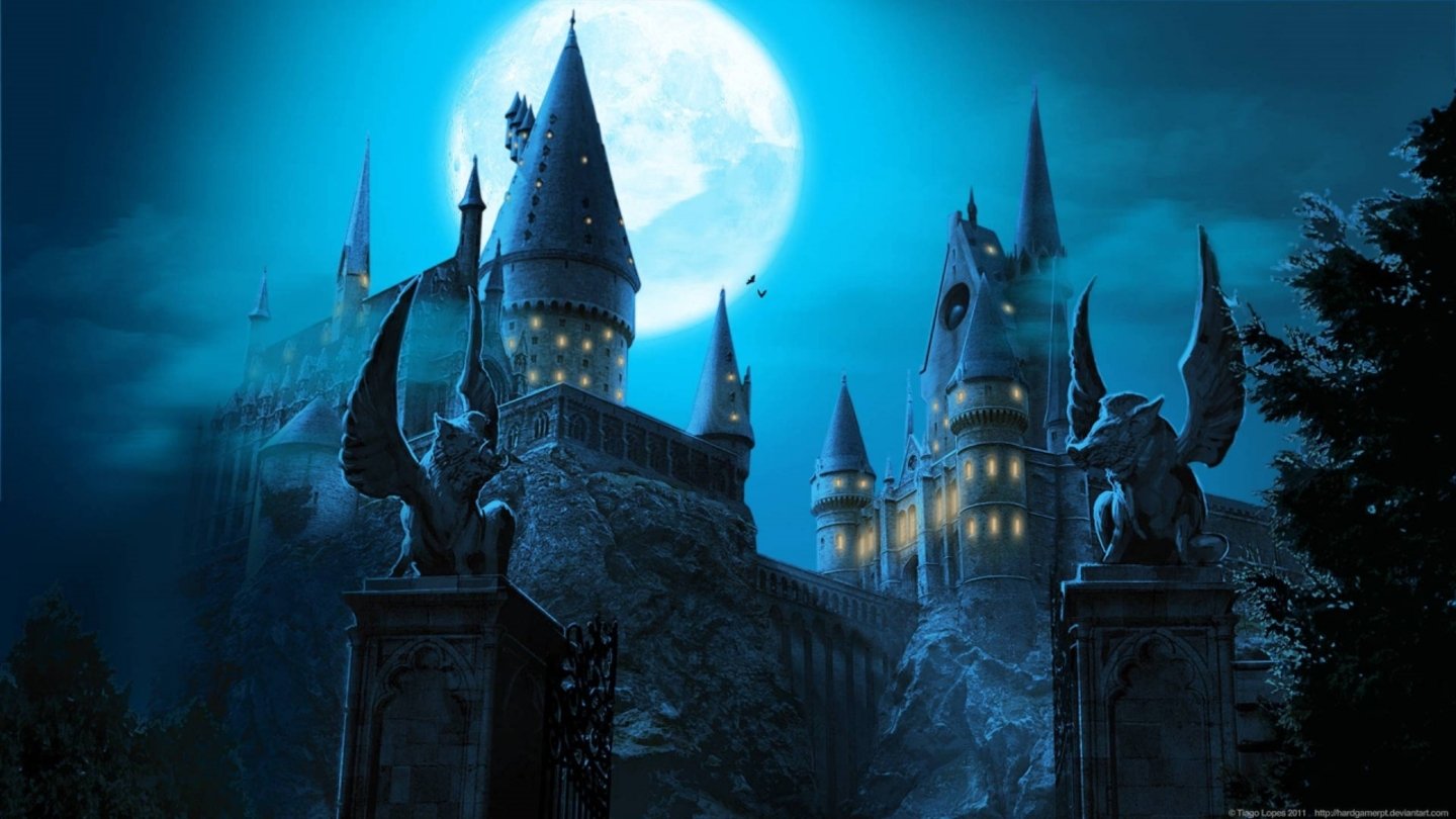 ¿HBO podría profundizar en otras historias de Harry Potter después de la serie?