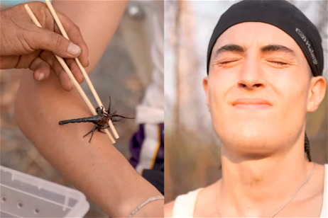 No apto para sensibles: Frank de la jungla entrena a Plex para La Velada del Año 4 con picaduras de escorpión