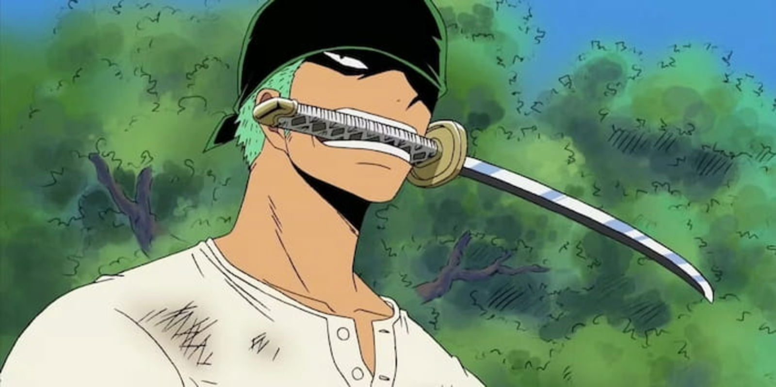 One Piece anuncia una nueva novela en forma de precuela que se centrará en el pasado de Roronoa Zoro antes de conocer a Luffy