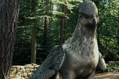 5 curiosidades de Buckbeak de Harry Potter que seguro no conocías