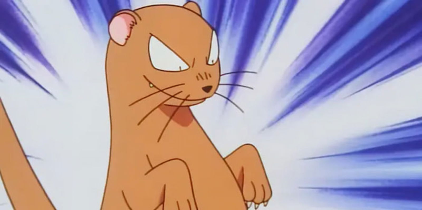 Los animales tradicionales no solo son un elemento decorativo del anime de Pokémon, sino que han tenido importancia en la trama de los episodios