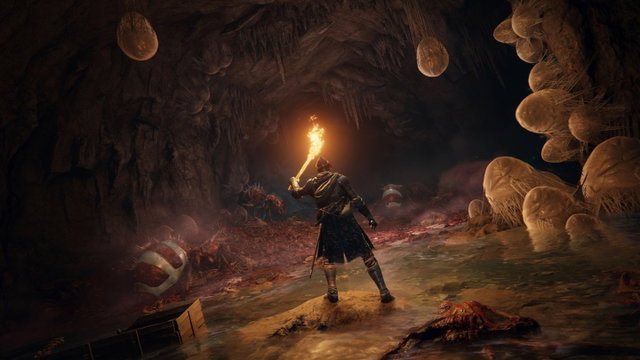 Un jugador de Elden Ring descubre una recompensa secreta