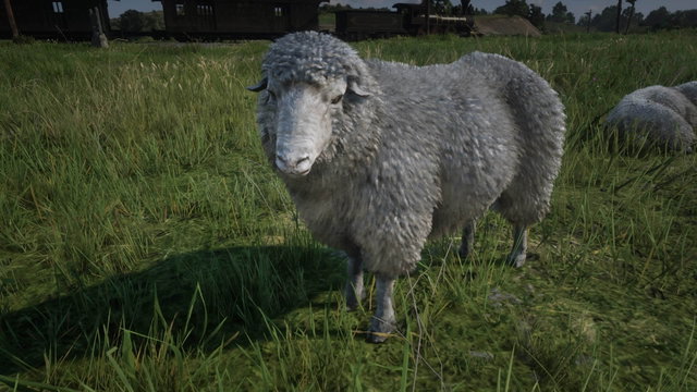 Red Dead Redemption II revela uno de sus secretos más macabros