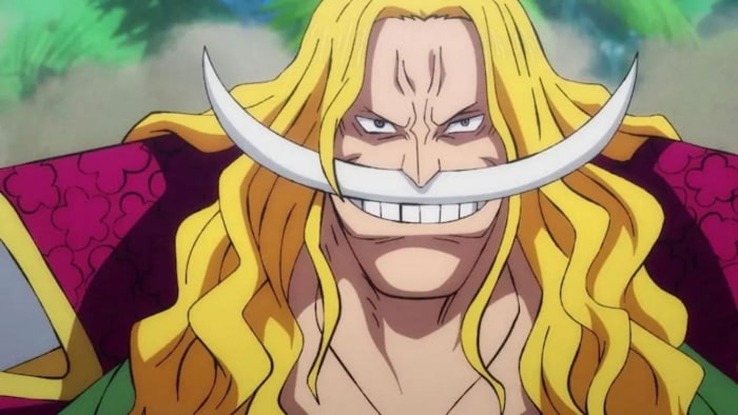 Es probable que Garp haya luchado contra Barbablanca cuando este formaba parte de los piratas de Rocks