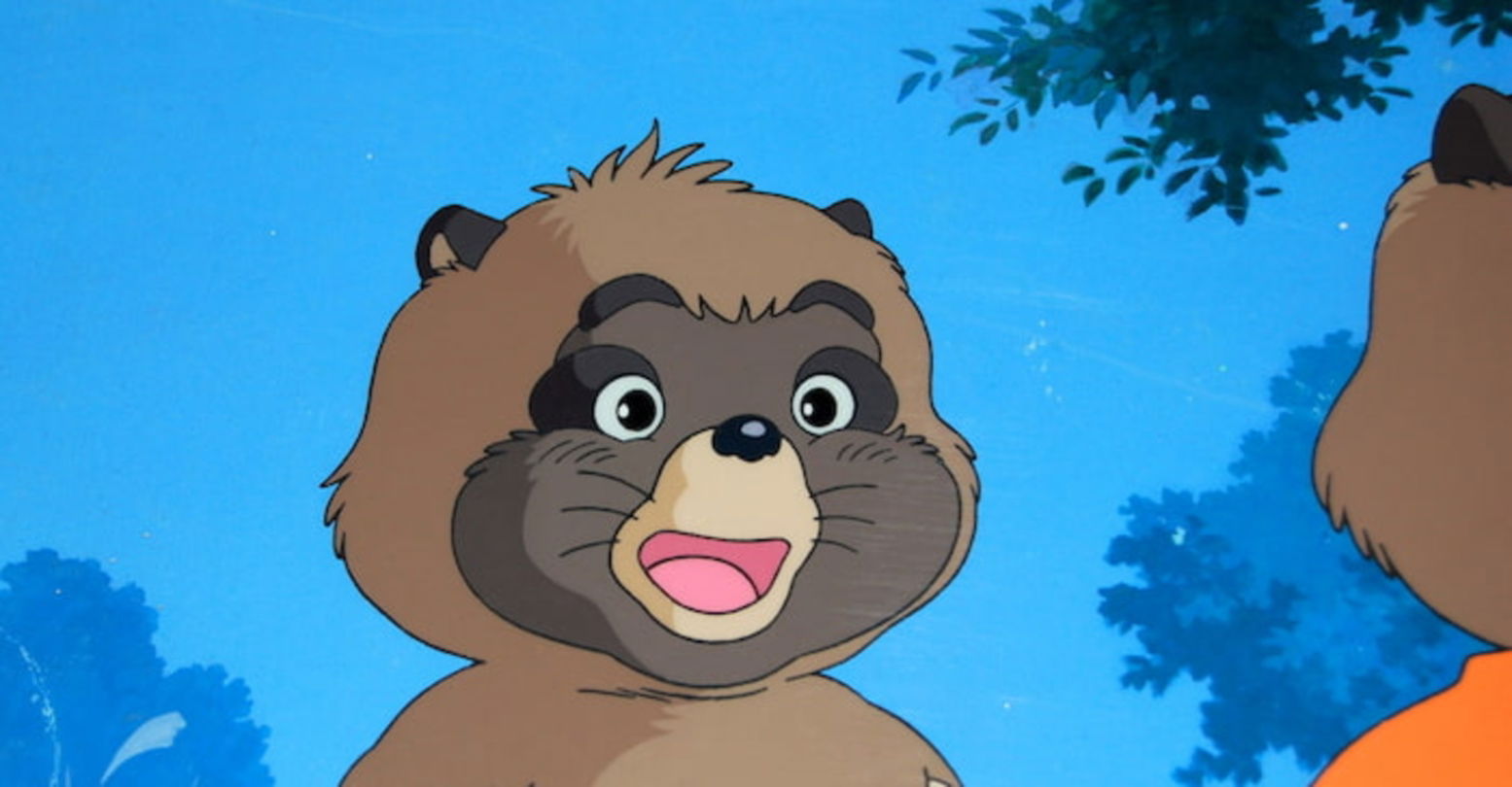 Shoukichi es un tanuki adorable y que adquiere una misteriosa habilidad