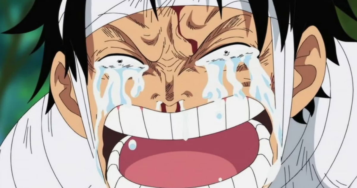 One Piece puede haber definido el destino de uno de sus grandes personajes