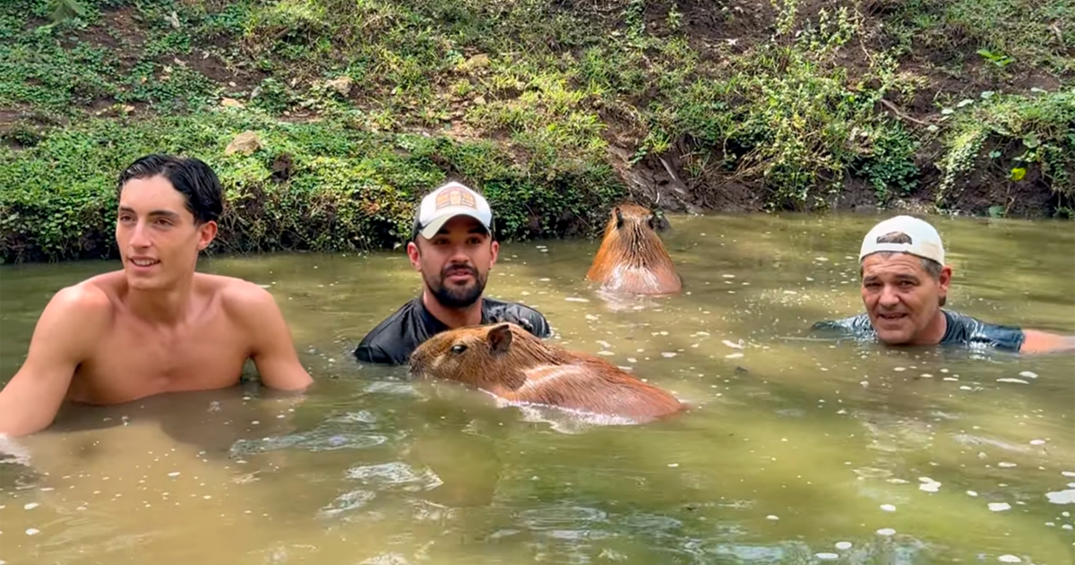 Frank Cuesta e IlloJuan se toman a risa las acusaciones de maltrato animal al andaluz: "El Santuario del maltrato"