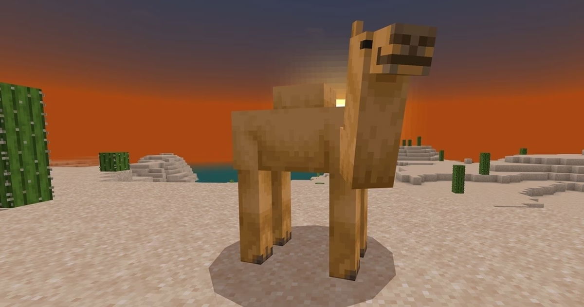 Un jugador de Minecraft cubre todo el desierto con botones