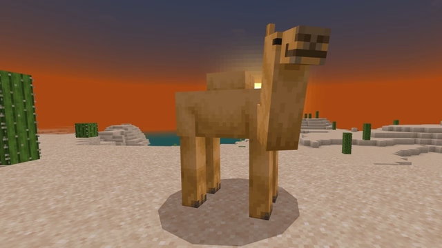 Un jugador de Minecraft cubre todo el desierto con botones