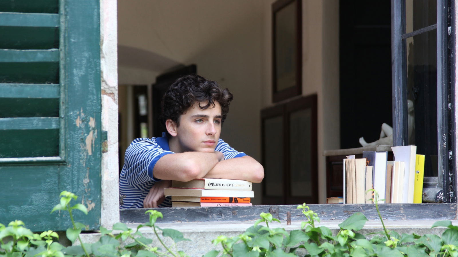 Timothée Chalamet - Figure 3