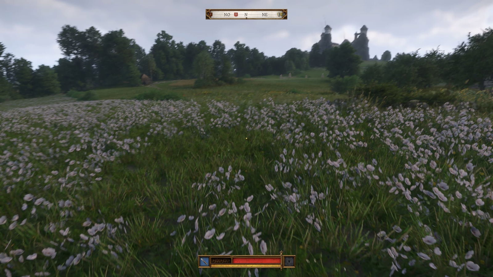 Kingdom Come Deliverance Contemplación