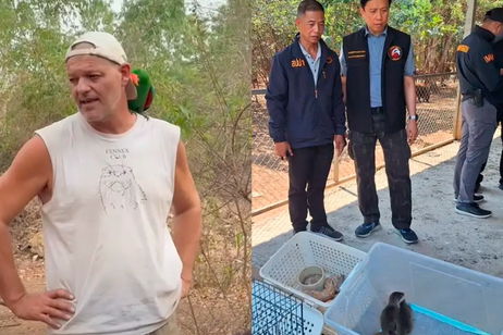 Frank Cuesta revela que han vuelto a acudir agentes al Santuario: "Hasta ellos han dicho que está pasando algo raro aquí" Frank Cuesta revela que han vuelto a acudir agentes al Santuario: "Hasta ellos han dicho que está pasando algo raro aquí"