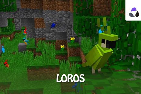 Loros en Minecraft: dónde encontrarlos y cómo domesticarlos Loros en Minecraft: dónde encontrarlos y cómo domesticarlos