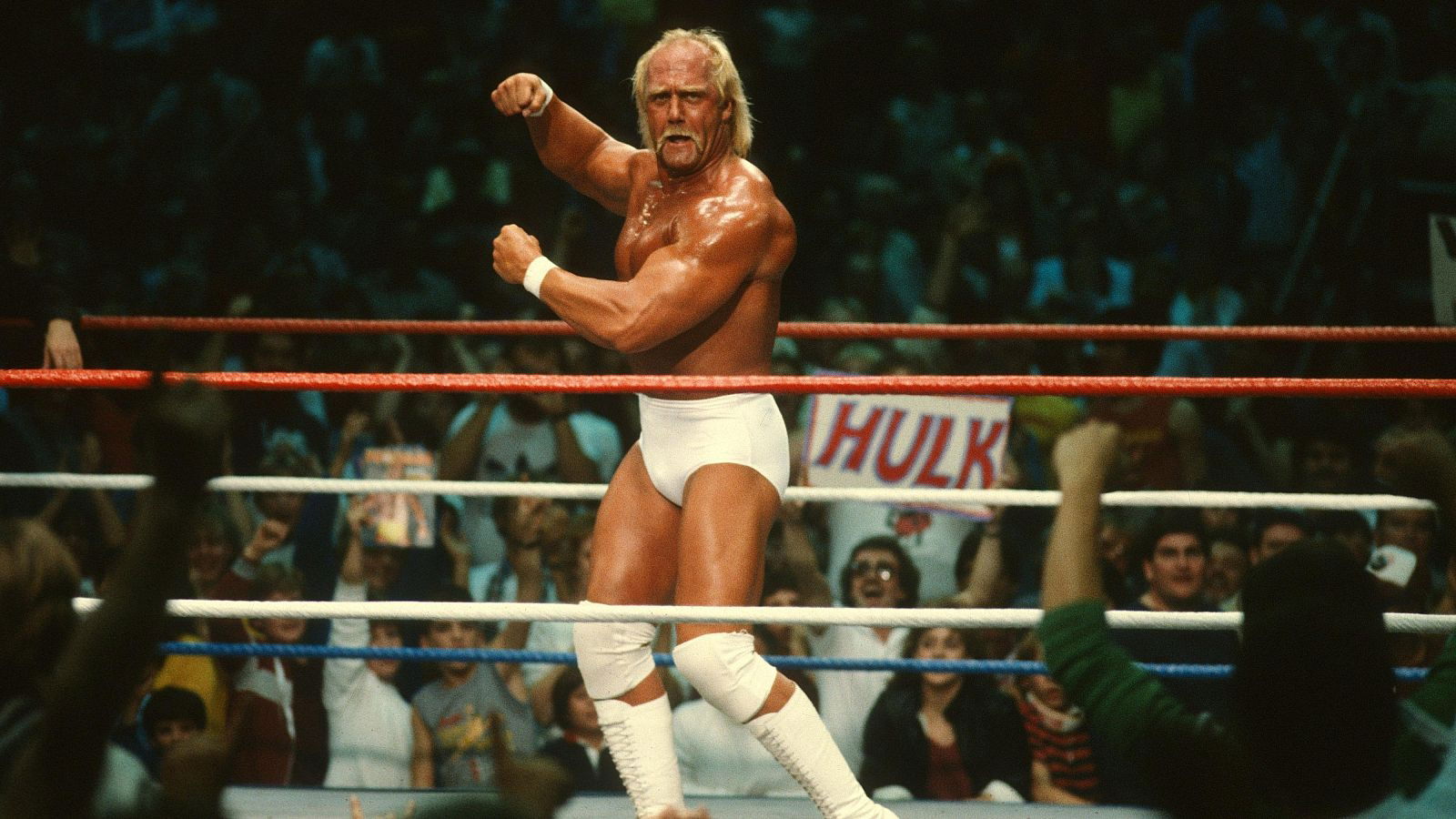 Hulk Hogan
