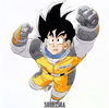 goku.1754060799.0823