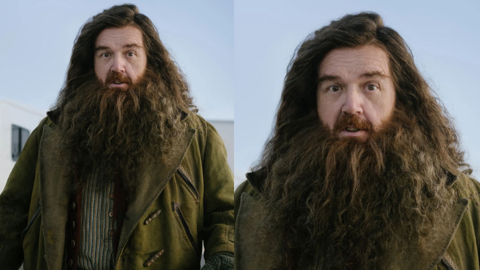 Harry Potter Hagrid 2