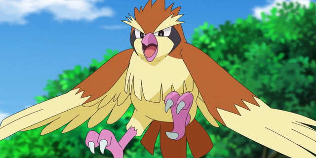 Crean un animatrónico de Pidgey que trae al Pokémon a la realidad