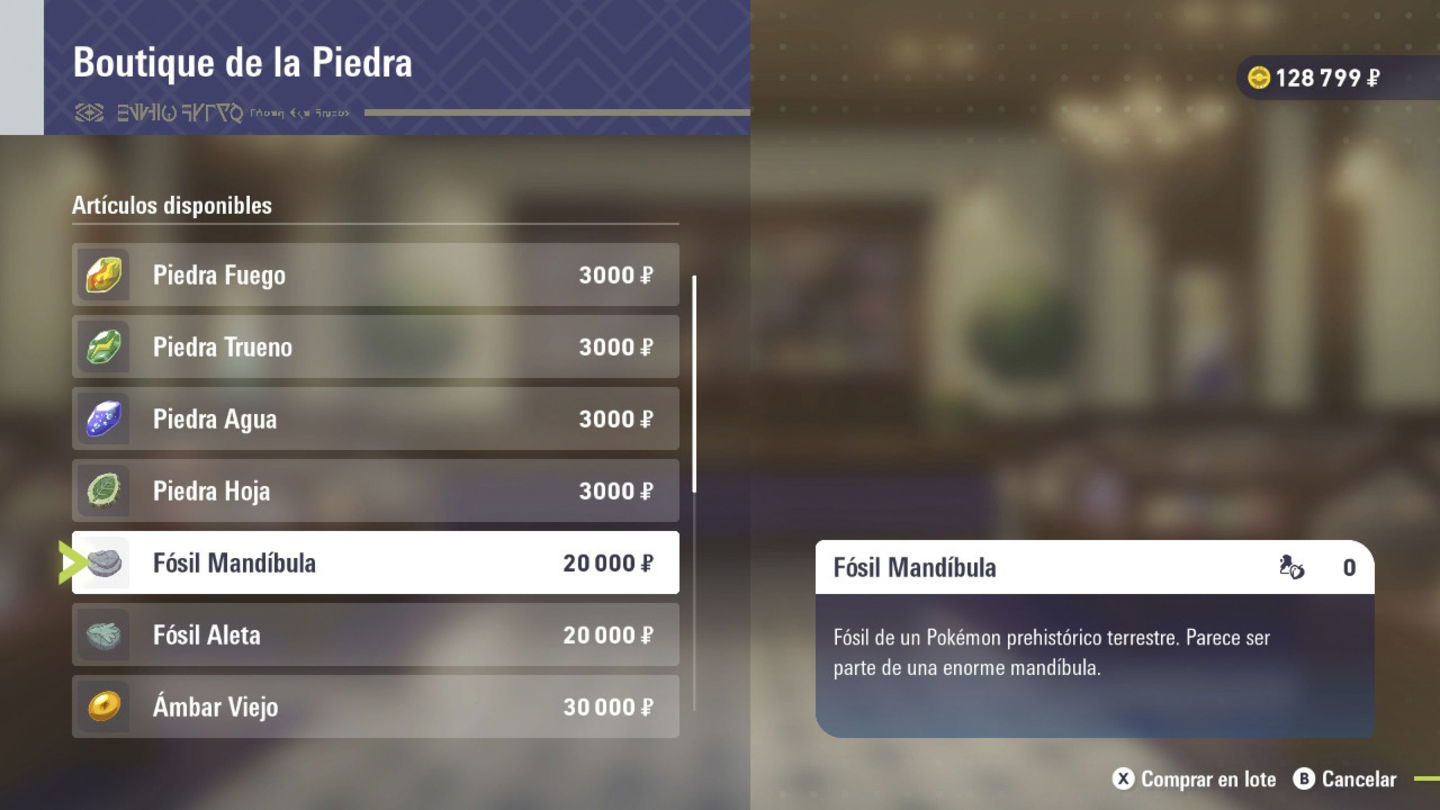 Podemos comprar fósiles en la Boutique de Piedra