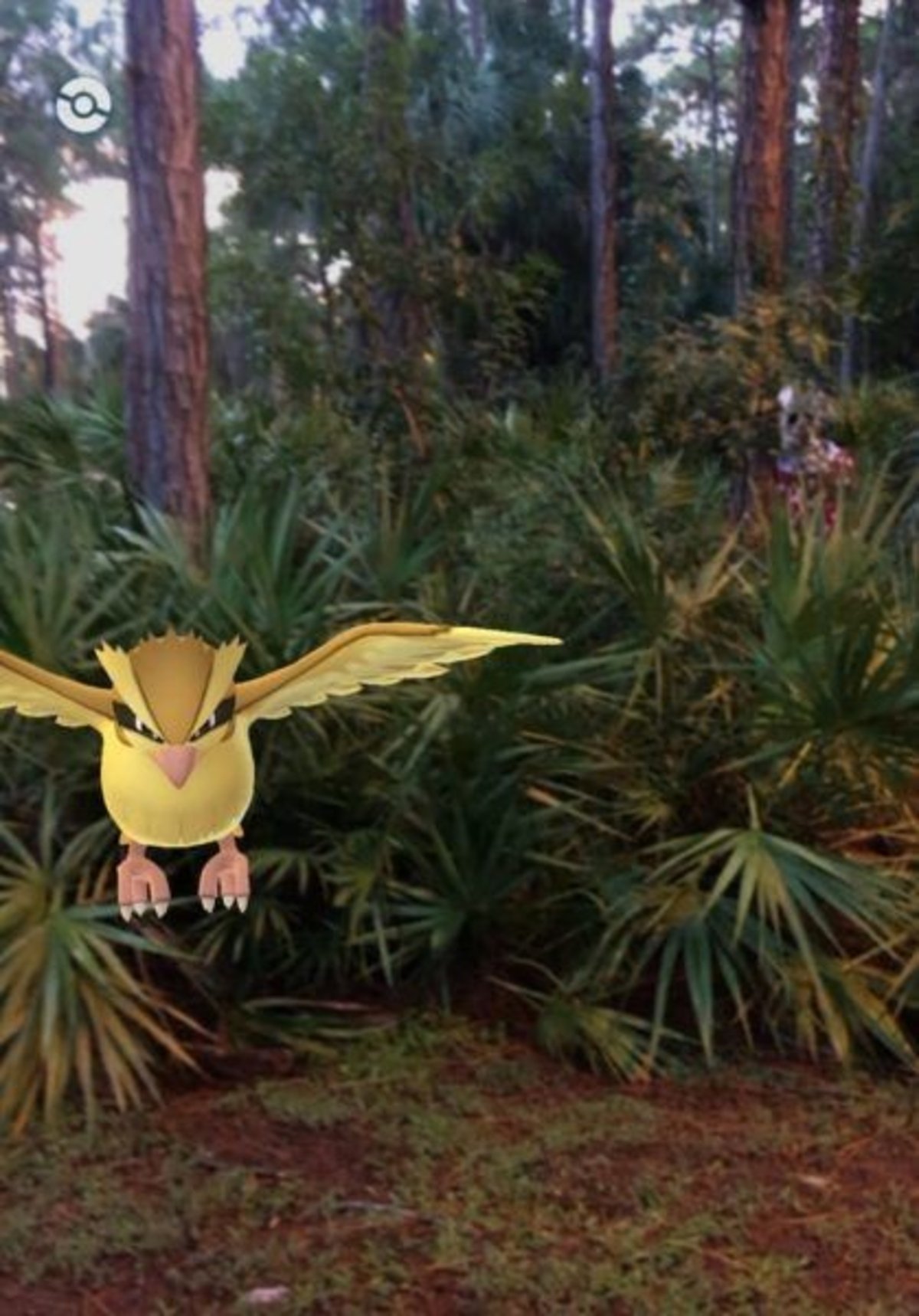 Pokémon GO: Un escalofriante payaso acecha a los jugadores en Florida