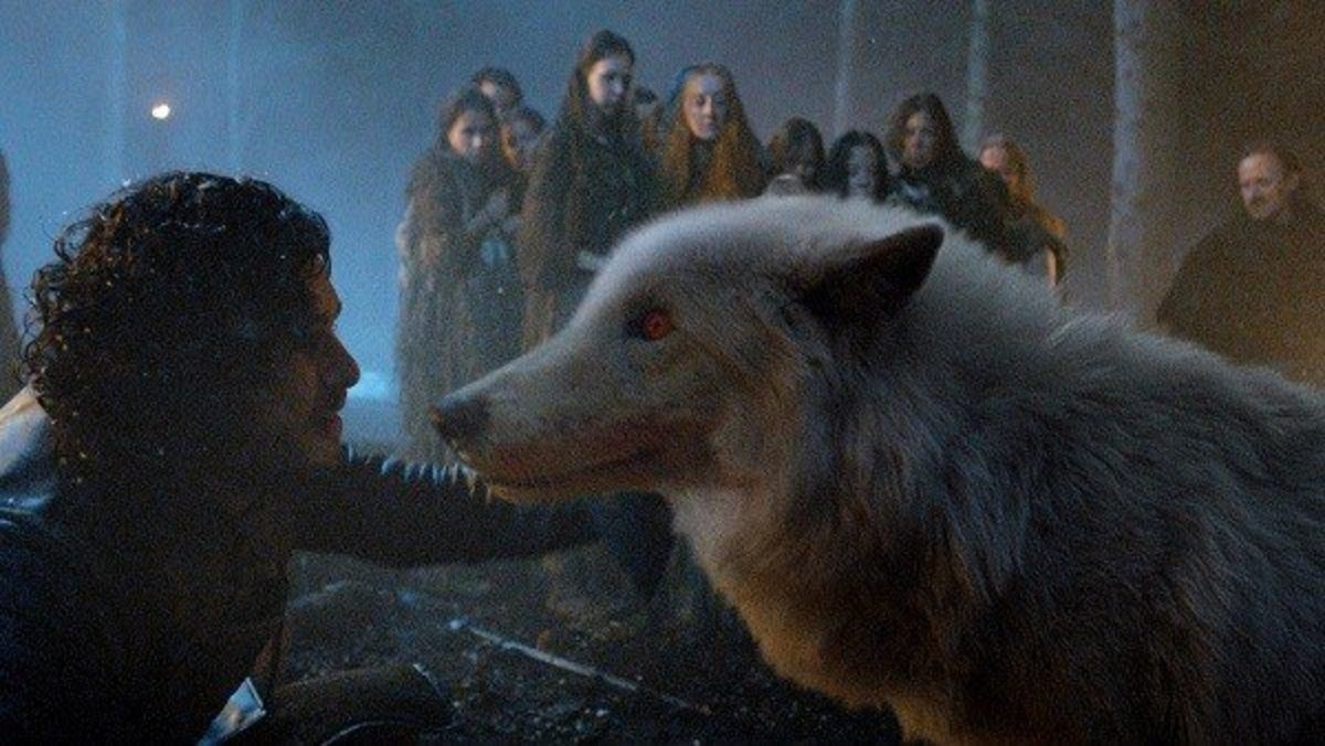 Juego de Tronos: Muere Fantasma, el lobo que George R.R. Martin adoptó en honor a la saga