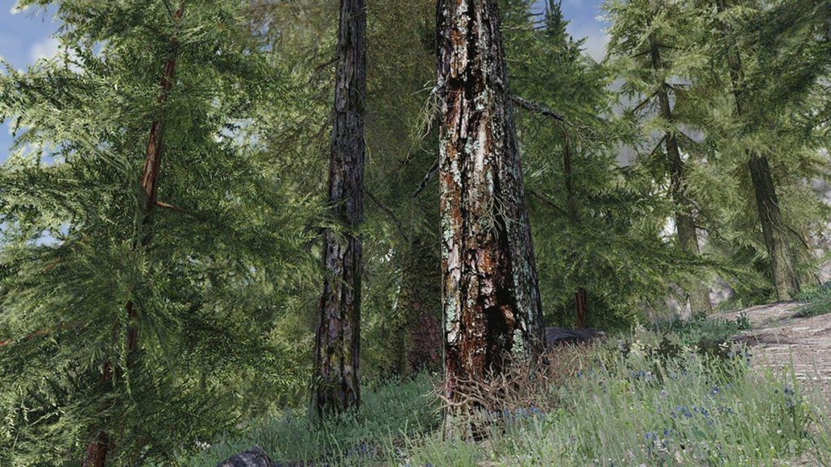 Skyrim convierte sus bosques en entornos ultrarrealistas con un mod