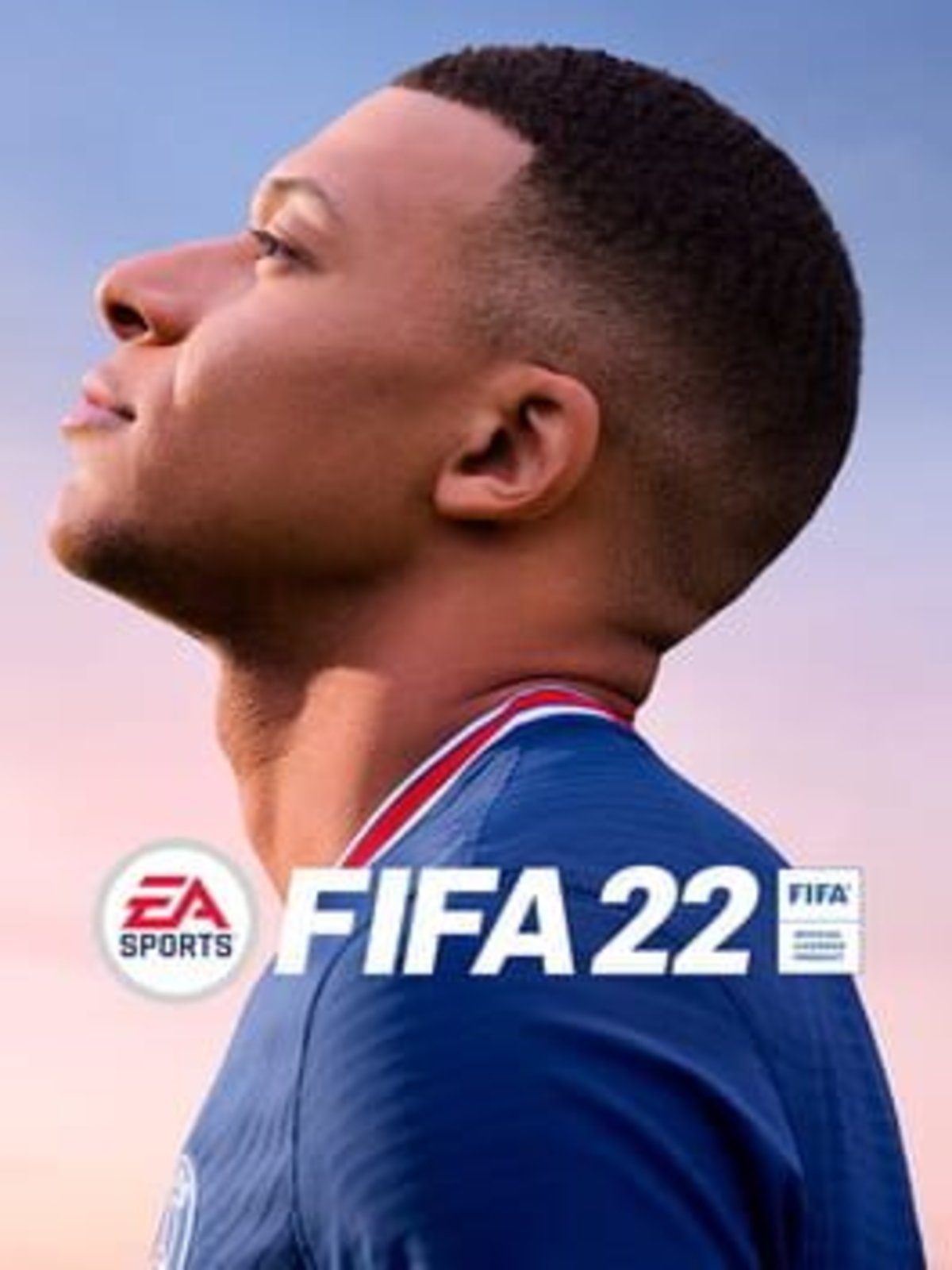 The update to the next generation of FIFA 22 can only be done through the Ultimate Edition